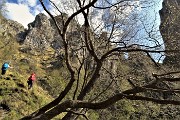 Monte Cancervo ad anello dalla Pianca sui sentieri CAI 102-130-131 il 1 maggio 2019 - FOTOGALLERY